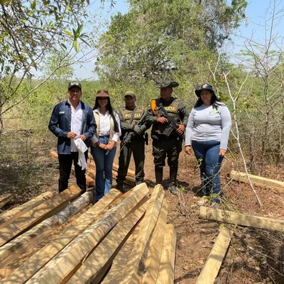 Desmantelan red de tala de árboles: 3 arrestos en San Juan Nepomuceno - Cardique