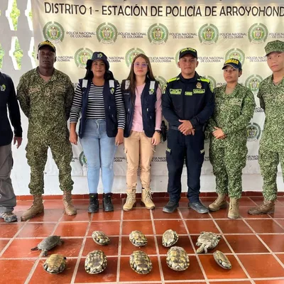 Cardique y Policía Ambiental realizan operativos contra tráfico ilegal de fauna en carreteras - Cardique