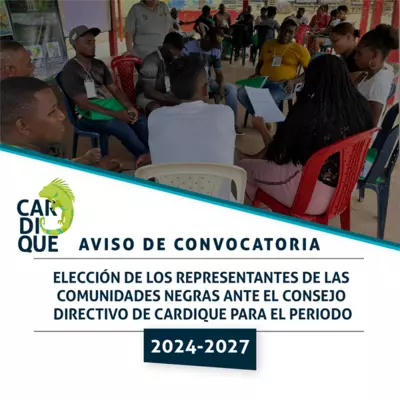 Comunidades negras