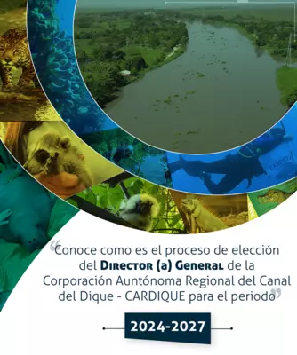 Elección Director General - Cardique