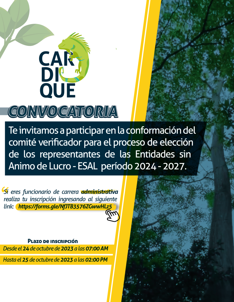 Comité verificador para el proceso de elección de los representantes de las Entidades Sin Animo de Lucro - ESAL